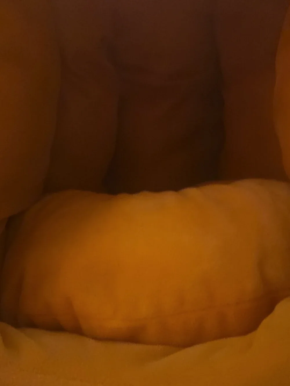 Plush Orange Pumpkin-Shaped Cat Bed With Removable Pillow.